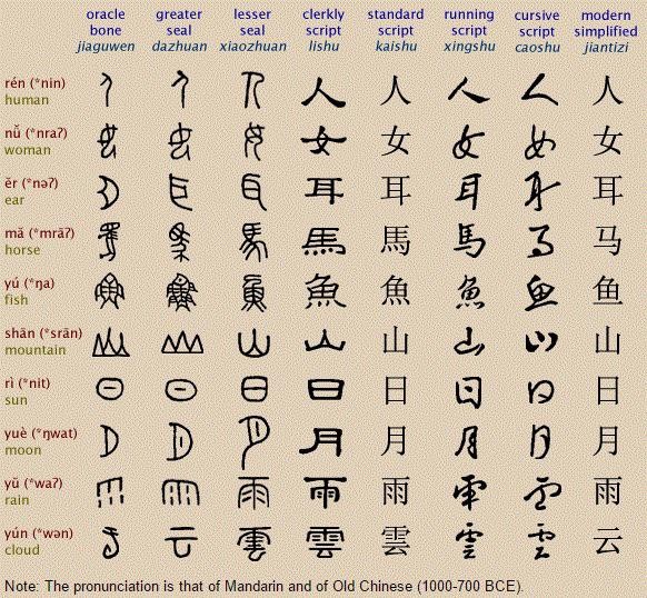 影迷林青头像